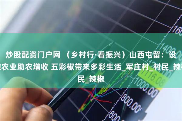 炒股配资门户网 （乡村行·看振兴）山西屯留：设施农业助农增收 五彩椒带来多彩生活_军庄村_村民_辣椒