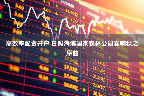 高效率配资开户 日照海滨国家森林公园奏响秋之序曲