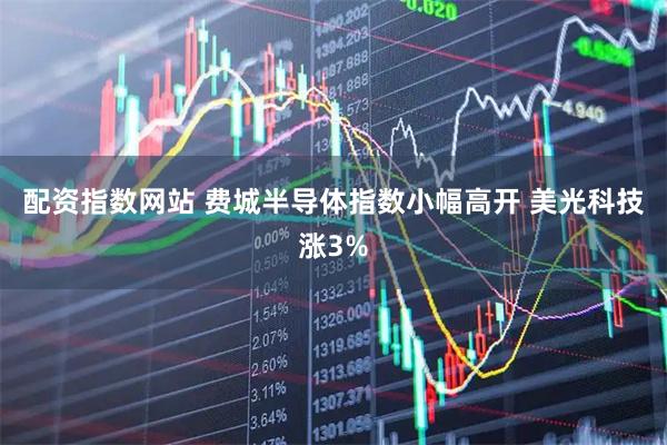 配资指数网站 费城半导体指数小幅高开 美光科技涨3%